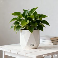 Nordic Plant Pot