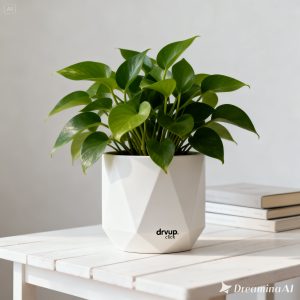 Nordic Plant Pot